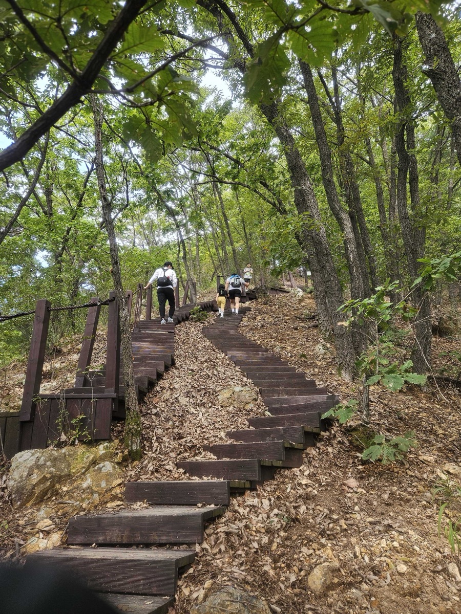 정상 인증 성공!