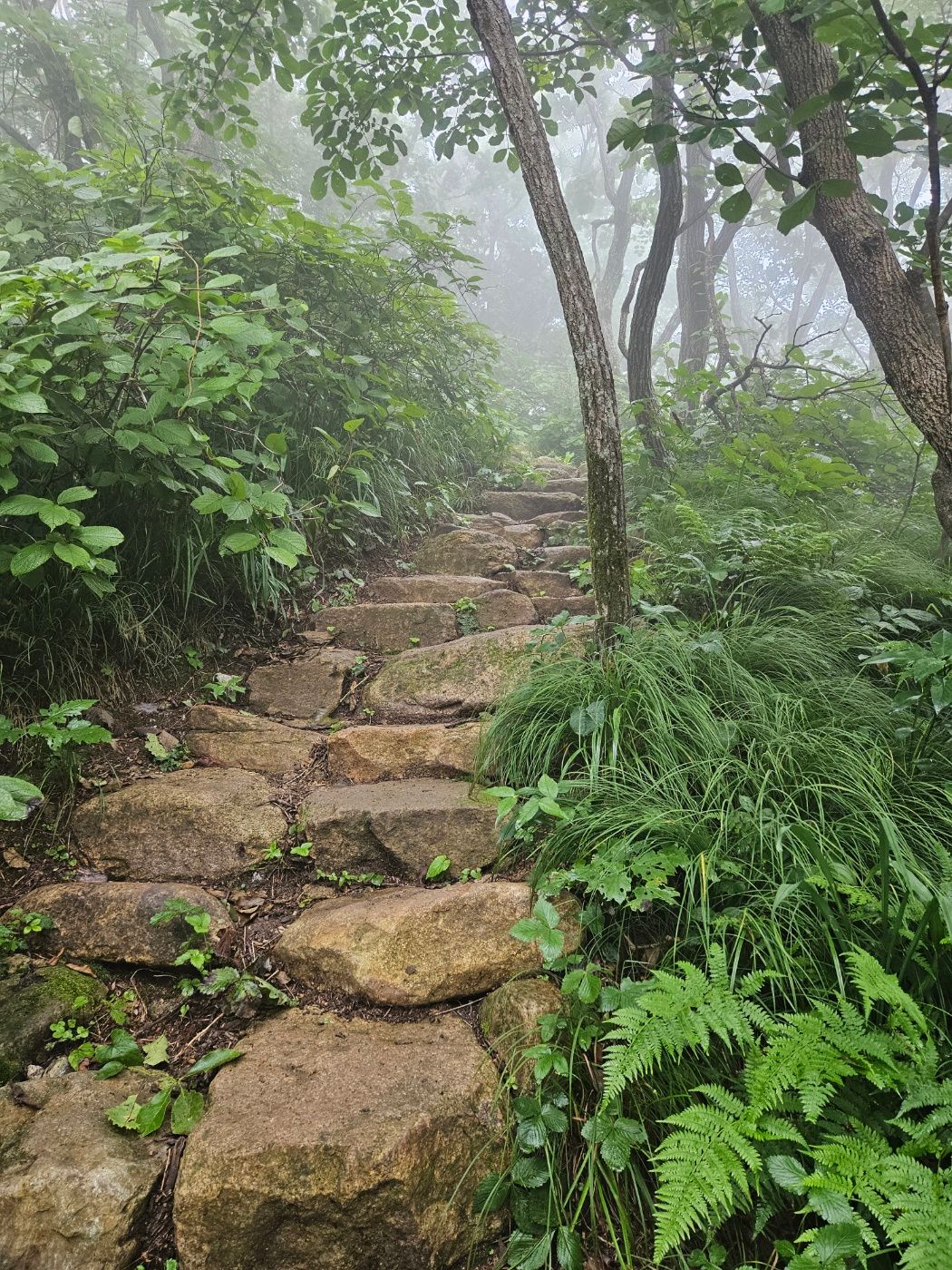 치악산 비로봉 정상 직전 돌계단