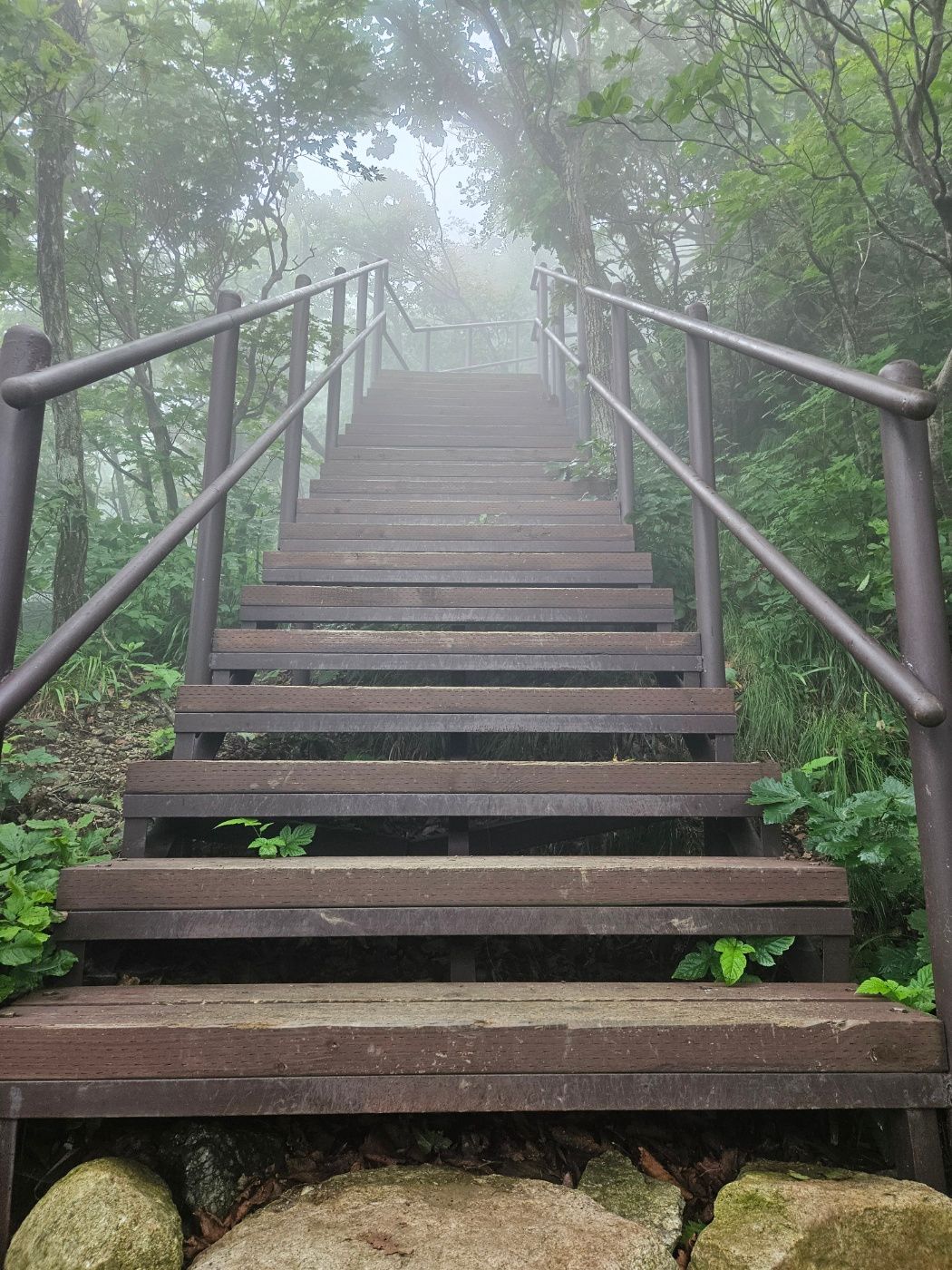 짙은 안개 속 비로봉 정상 직전 데크계단