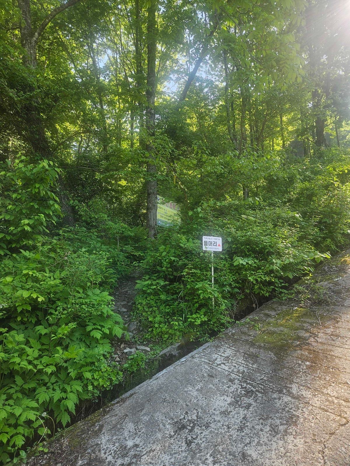 Trailhead sign