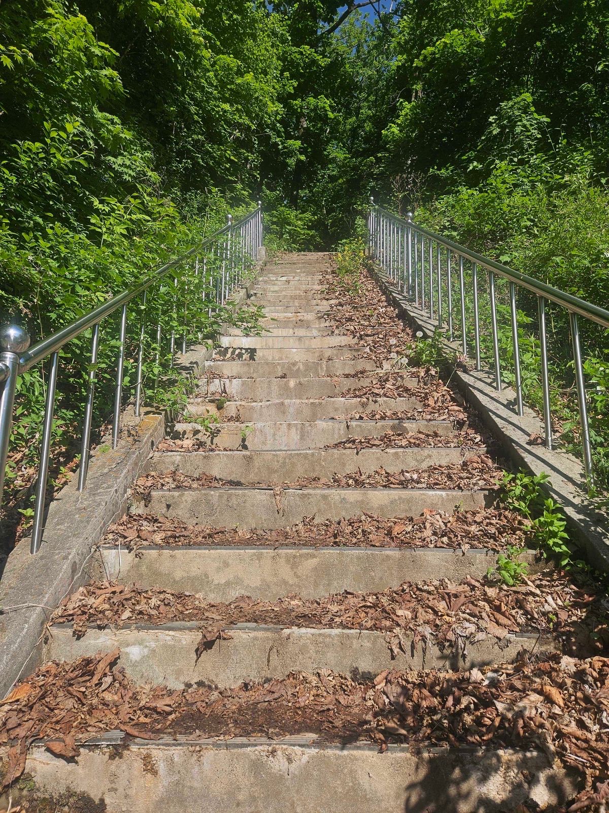 Narrow mountain trail