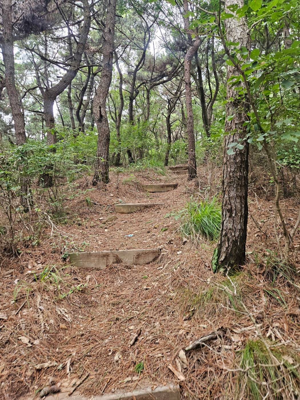 구봉산 정상 직전 계단과 오르막