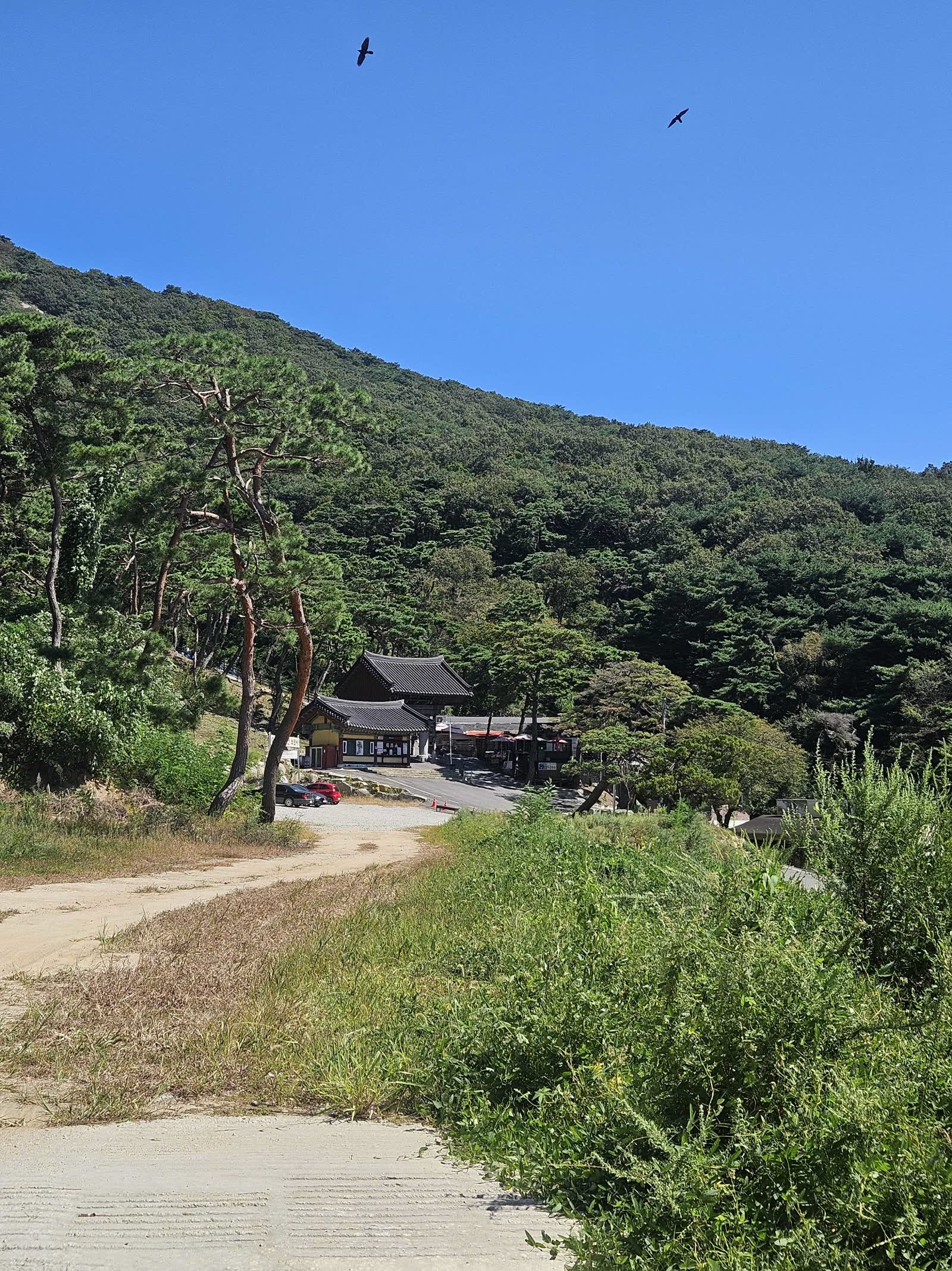 해명산 하산길에서 내려다본 보문사
