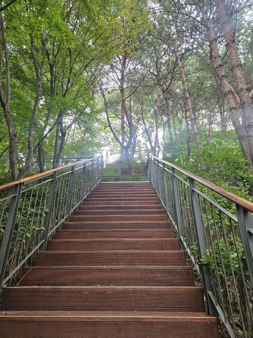 낙산공원으로 이어지는 짧은 오르막
