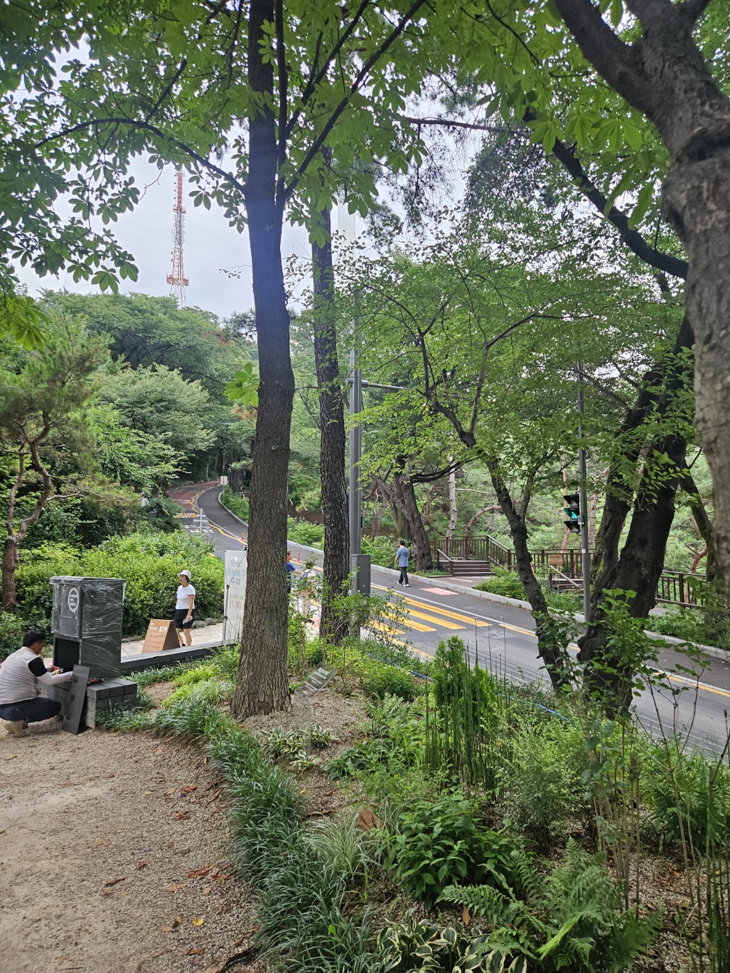 하늘숲길이 끝난 뒤 시작되는 남산 오르막