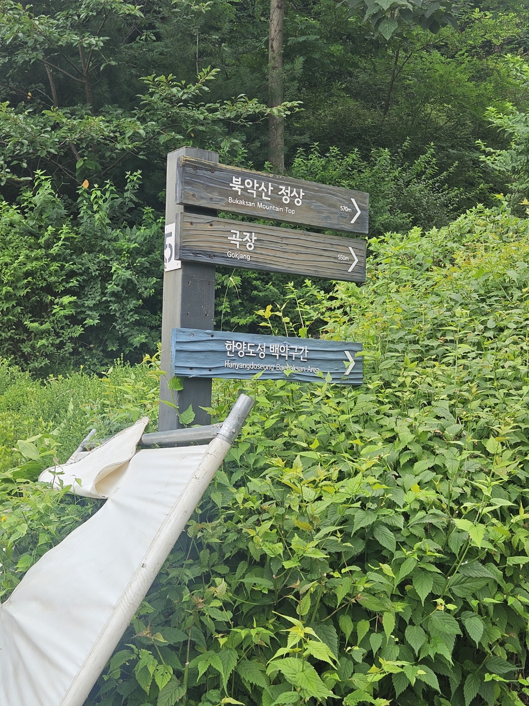 백악산 들머리의 청운대 이정표