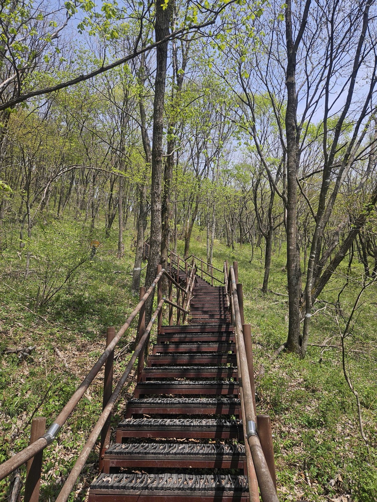 Steep Mountain Trail