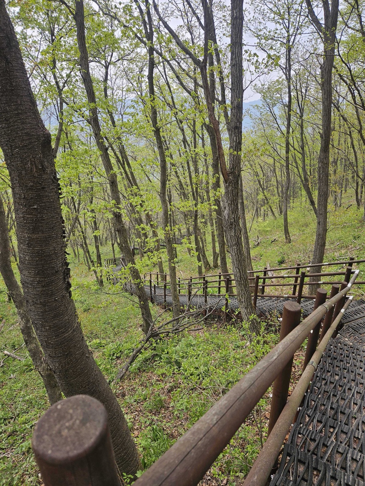Stairs on the Way Down