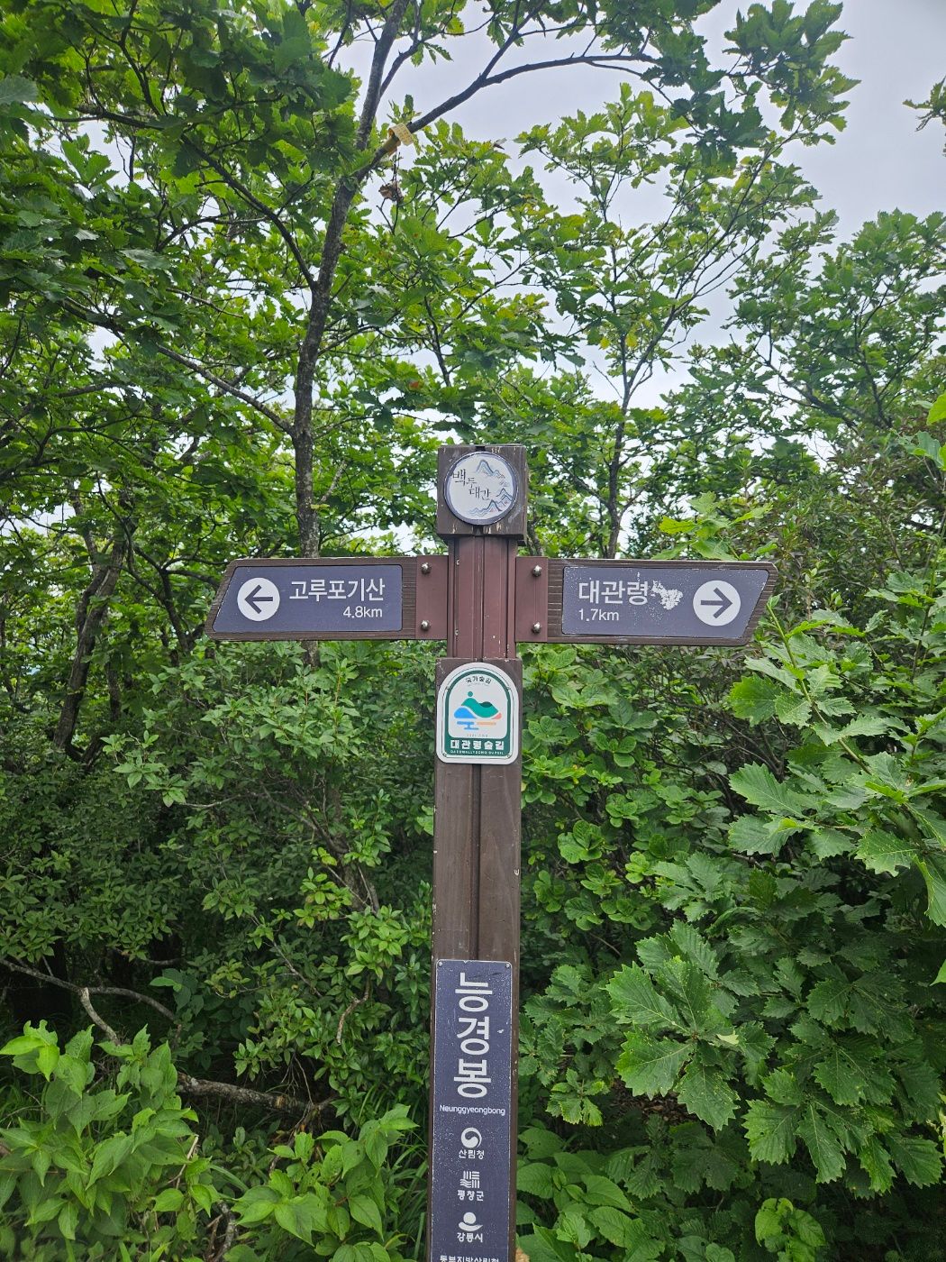 능경봉 정상 고루포기산 4.8km 이정표