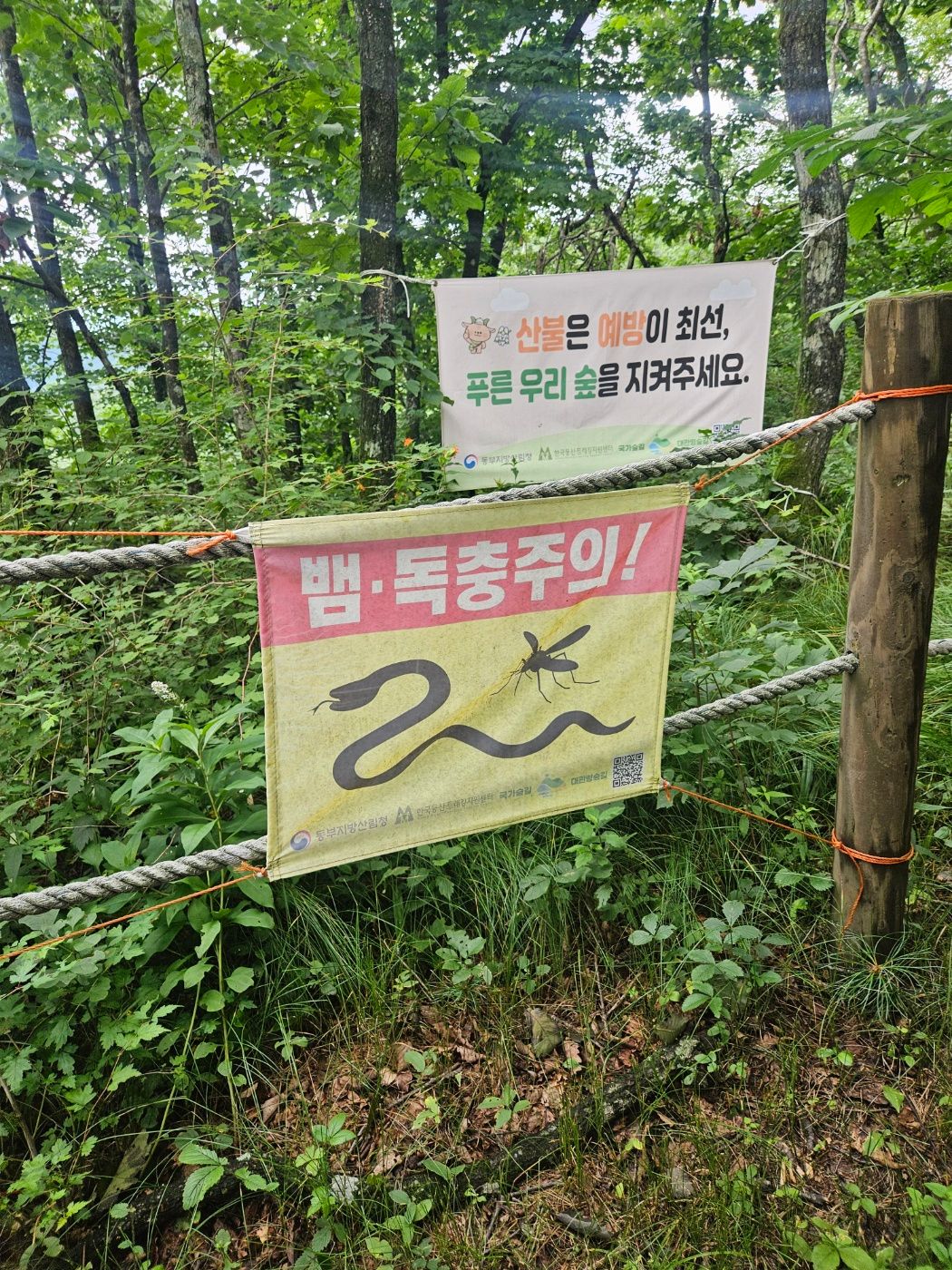 능경봉 등산로 뱀 조심 안내문