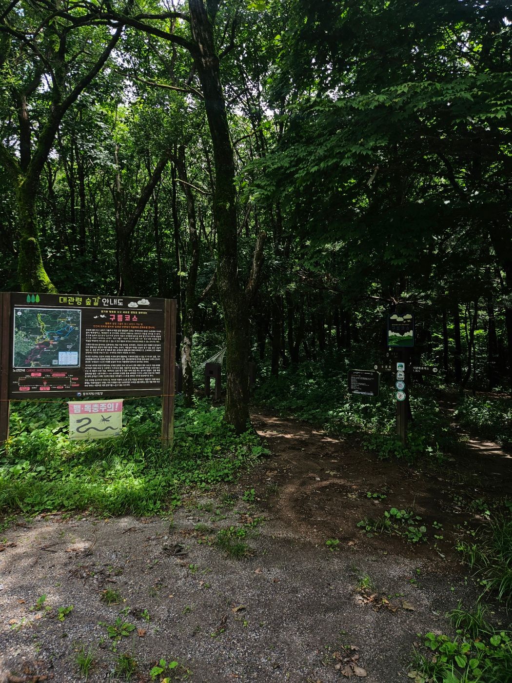 능경봉 정상으로 오르는 산행 입구